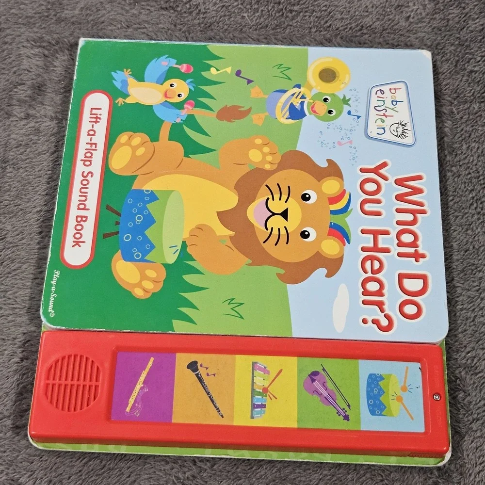 BABY EINSTEIN‎ What Do You Hear? Lift-a-Flap Sound Book: Hardcover: READ